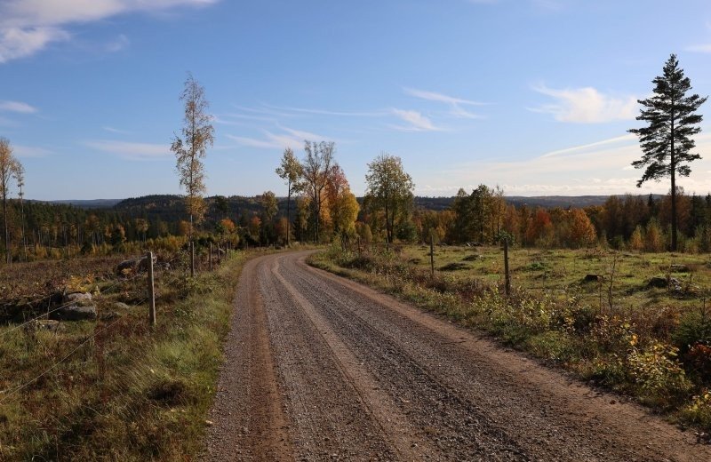 Långväga promenader